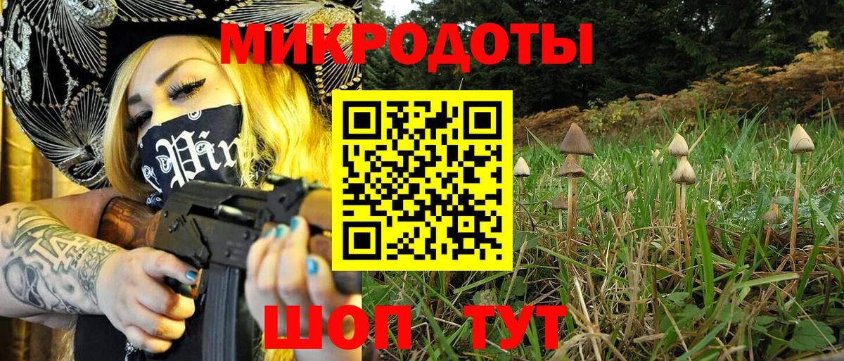 Галлюциногенные грибы Psilocybe Дзержинск